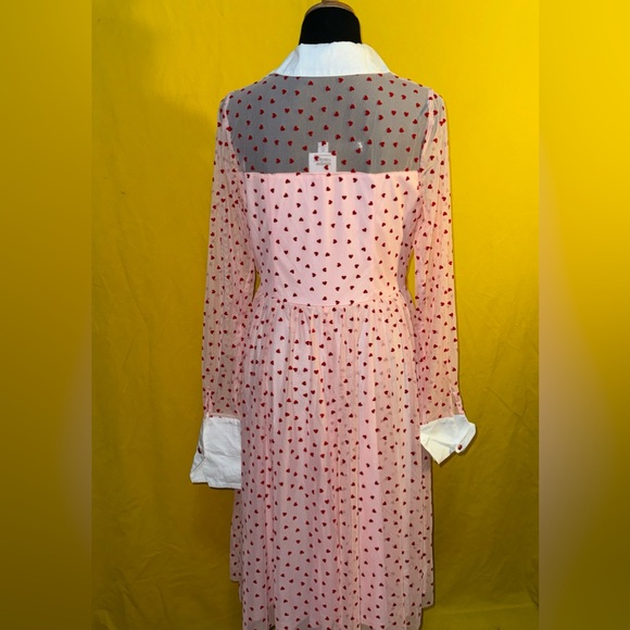 Unique vintage heart polka dots mesh dress - Picture 4 of 9